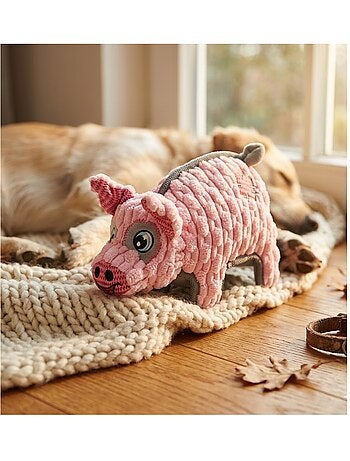 Jeu couineur cochon pour chien 16 x 24 cm