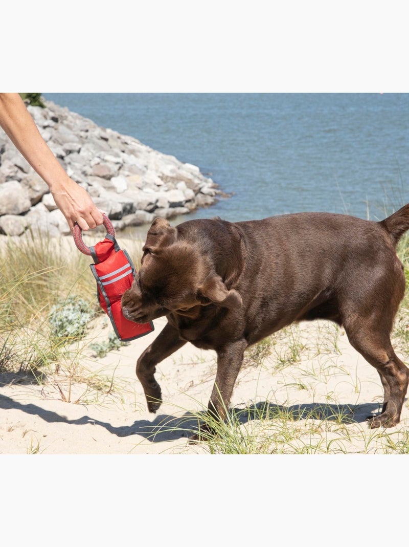 Jeu d entrainement pour chien Vert - Kiabi