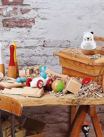 Jeu de quilles bowling bicolores