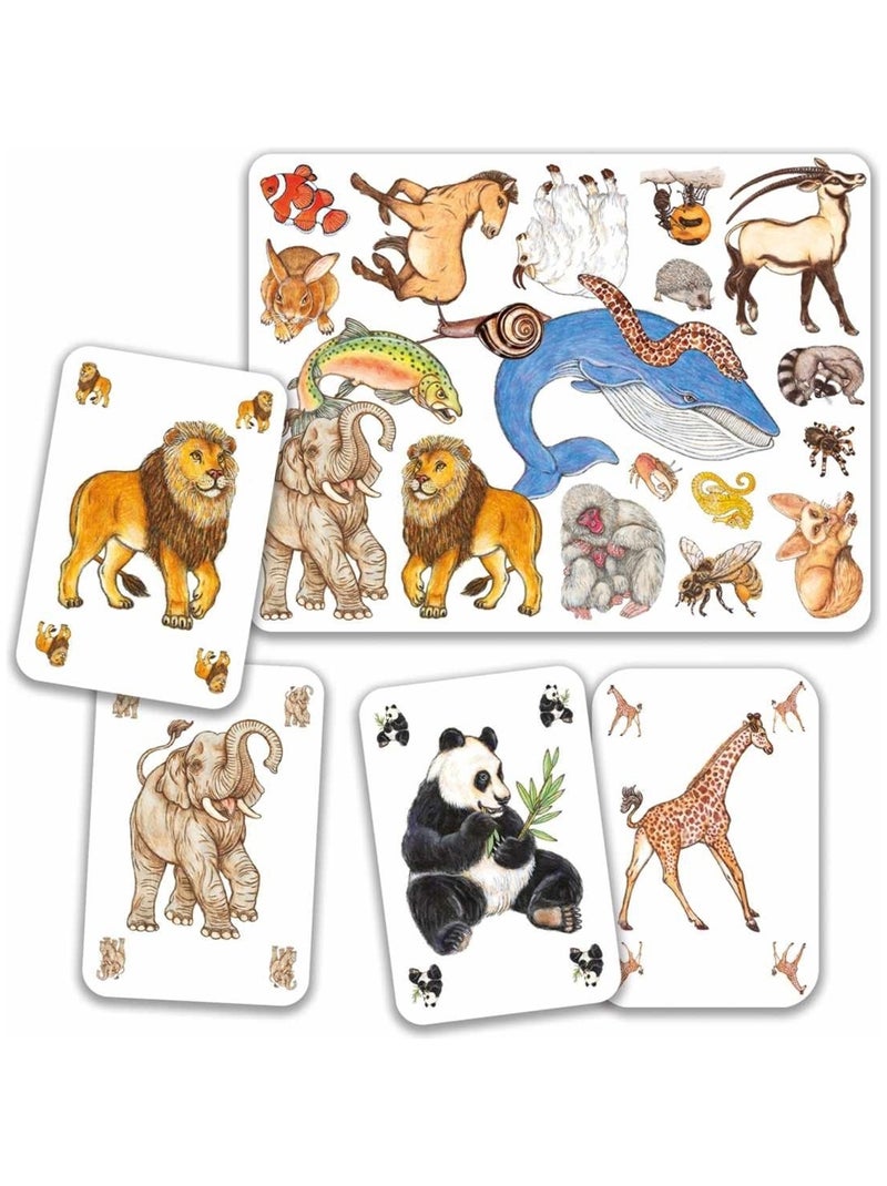 Jeu d'observation et de rapidité Zanimatch N/A - Kiabi