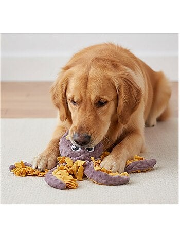 Jeu d'occupation et de fouille Morgane calamar pour chien