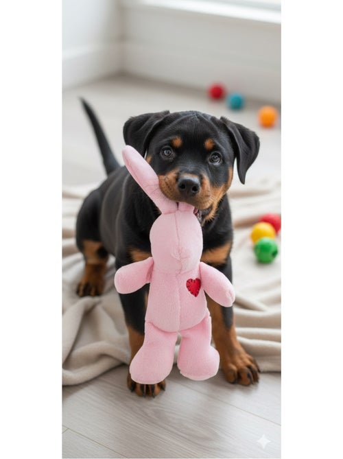 Jeu en peluche Lapin avec un coeur - Kiabi