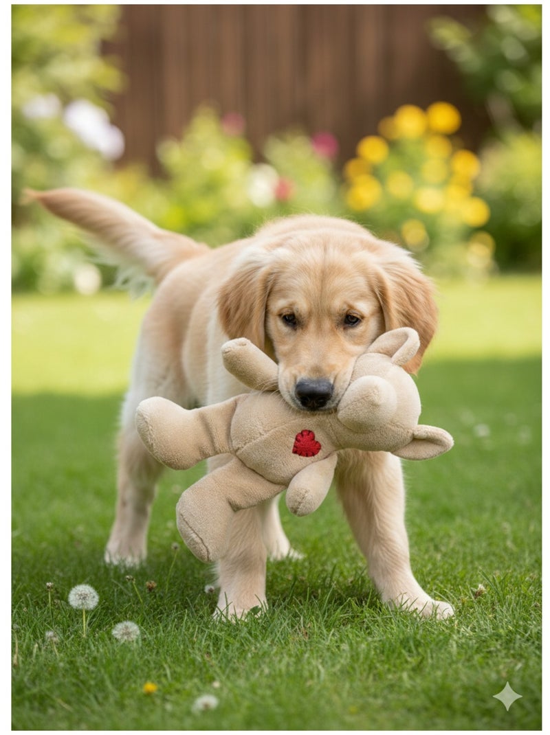 Jeu en peluche Ourson avec un coeur Beige - Kiabi