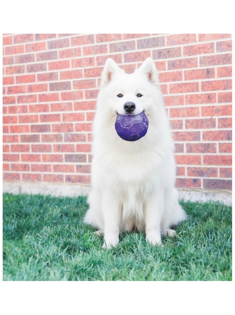 Jeu  Flexball Ballon de football pour chien Pourpre Violet - Kiabi