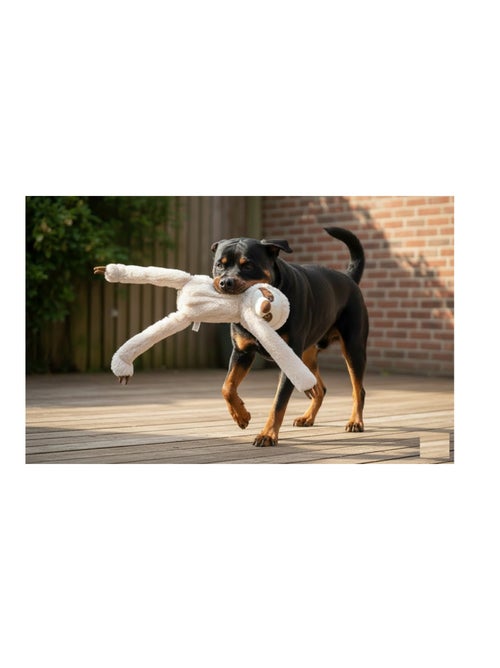 Jeu Geant sonore pour chien Paresseux en peluche - Kiabi