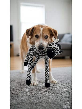 Jeu Geant sonore pour chien Zebre en peluche