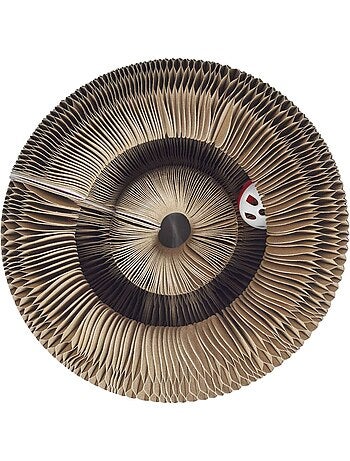 Jeu griffoir 2 en 1 pour chat