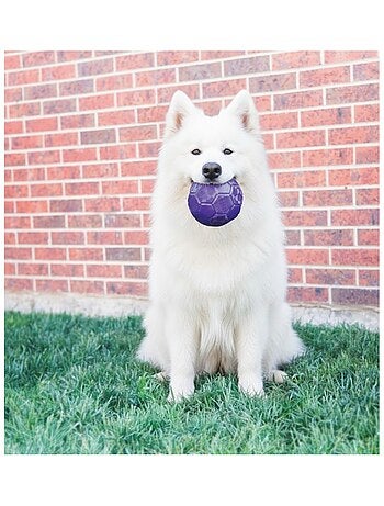 Jeu Kong Flexball Ballon de football pour chien Pourpre
