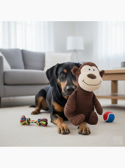 Jeu Peluche pour animaux sonore Singe - Kiabi