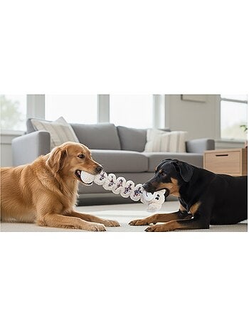Jeu pour chien floreo chien élastique