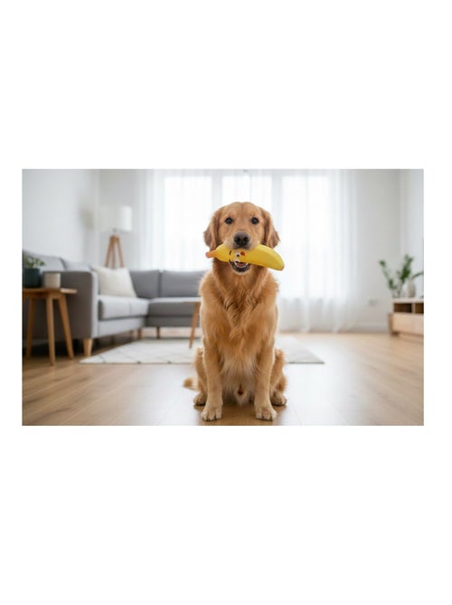 Jeu pour chien Fruco la Banane sonore - Kiabi
