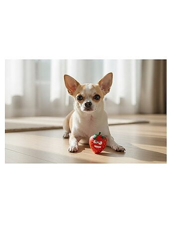 Jeu pour chien fruco la fraise sonore