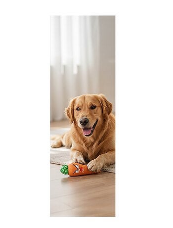 Jeu pour chien fruco l'orange sonore