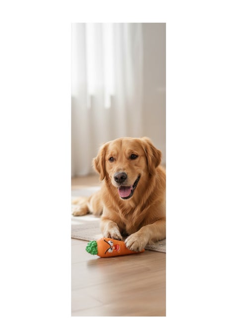 Jeu pour chien Fruco l'orange sonore - Kiabi