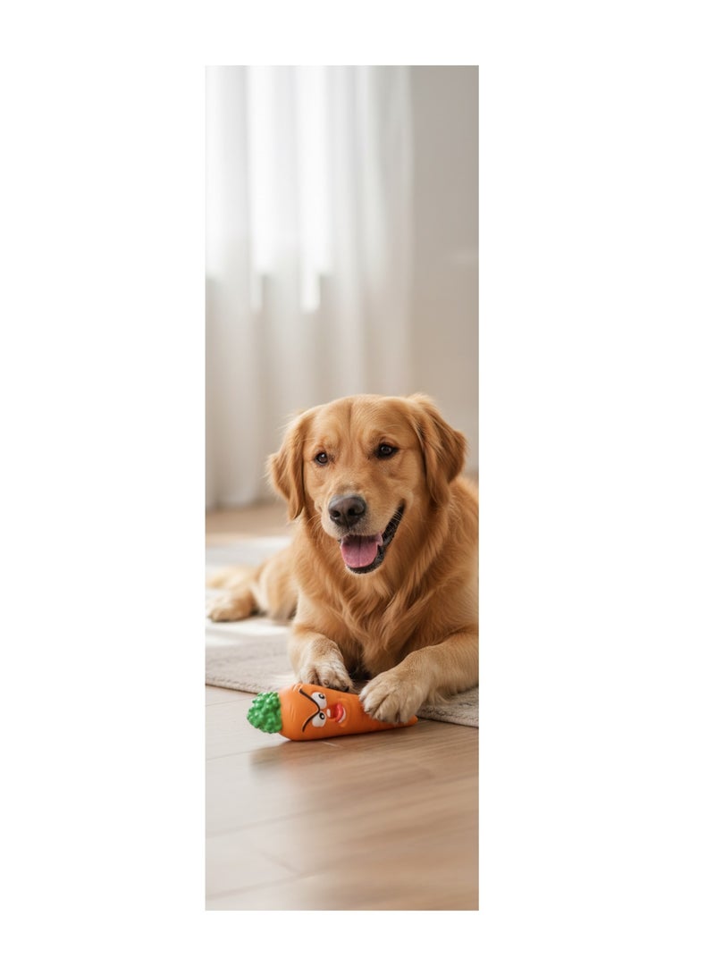 Jeu pour chien Fruco l'orange sonore Orange - Kiabi