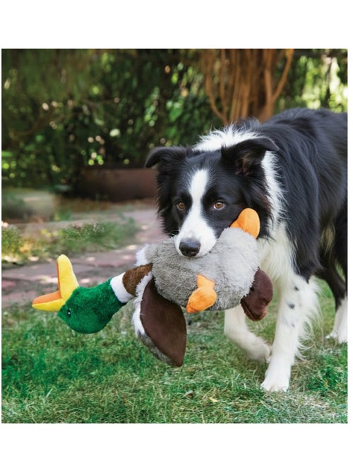 Jeu pour chien Honkers Canard - Kiabi