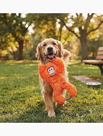 Jeu pour chien tuggz singe orange