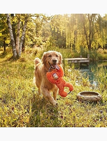 Jeu pour chien tuggz singe orange