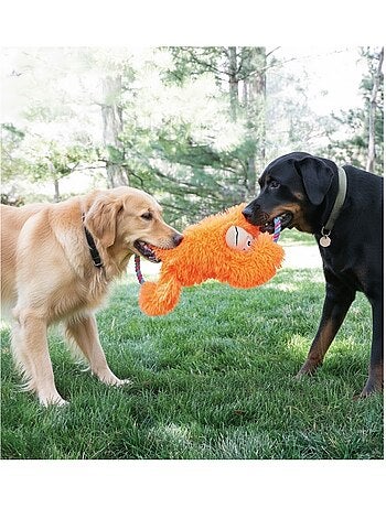 Jeu pour chien tuggz singe orange