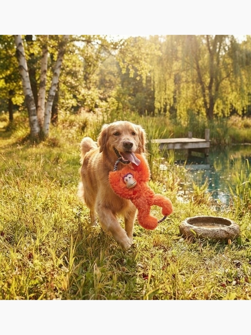 Jeu pour chien Tuggz Singe Orange Orange - Kiabi