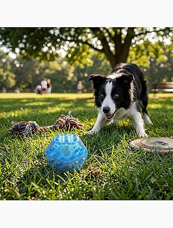 Jeu rafraîchissant balle pour chien