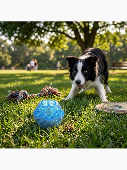 Jeu rafraîchissant Balle pour Chien - Kiabi