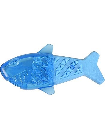 Jeu rafraîchissant poisson pour chien