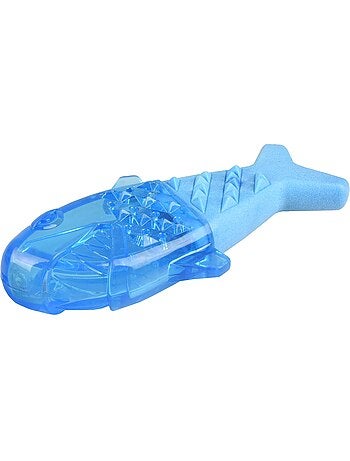 Jeu rafraîchissant poisson pour chien