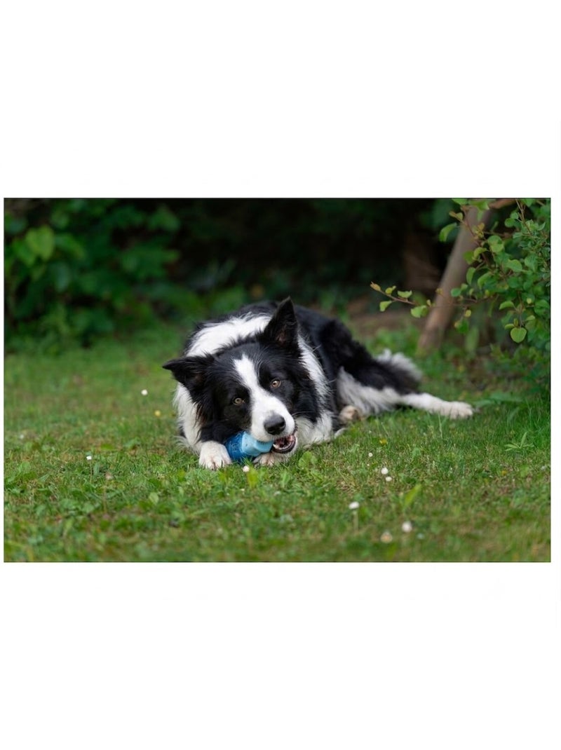 Jeu rafraîchissant Snowy os pour Chien Bleu - Kiabi