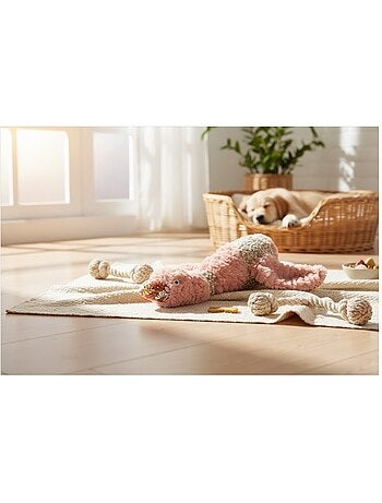 Jeu sonore pour chien rosette le canard en peluche