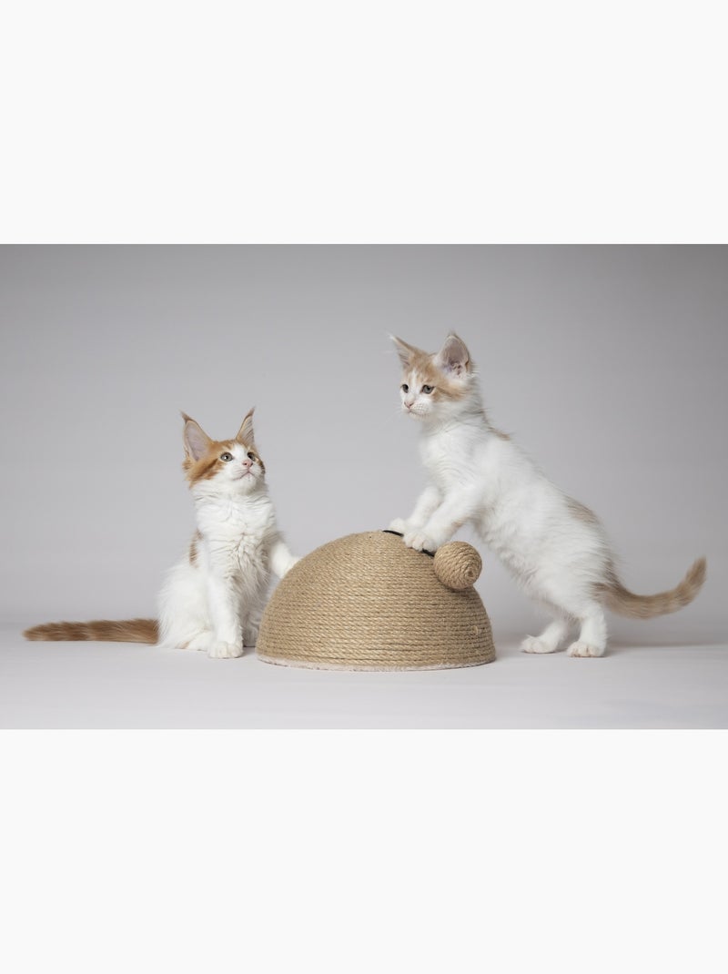 Jouet a Griffer pour Chat Coupole en Jute avec Balle Sonore Marron - Kiabi
