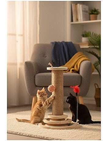 Jouet a griffer pour chat zack plumes et circuit a balle