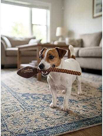 Jouet à mâcher pour chien balai en corde harry potter