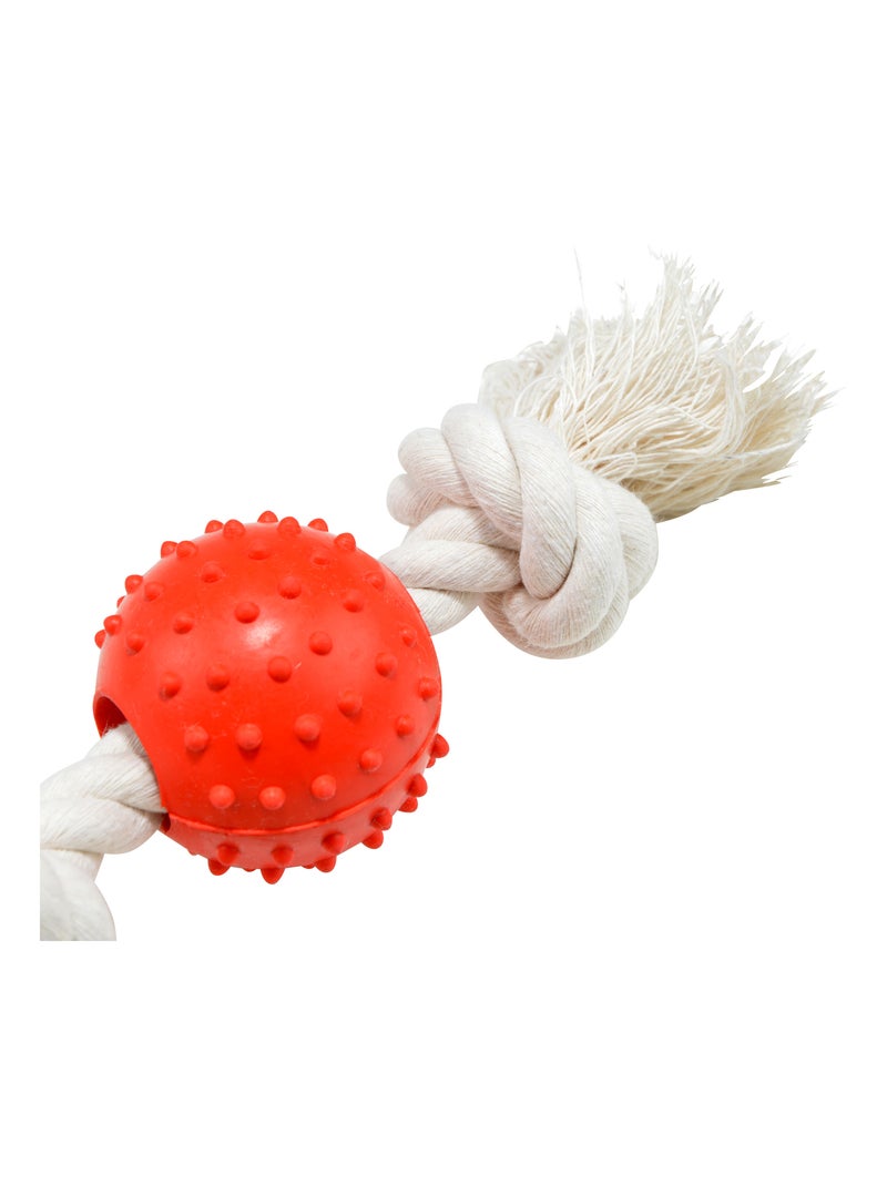 Jouet balle caoutchouc sur corde 33 cm Rouge - Kiabi