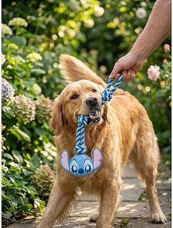 Jouet corde pour chien adulte stitch disney