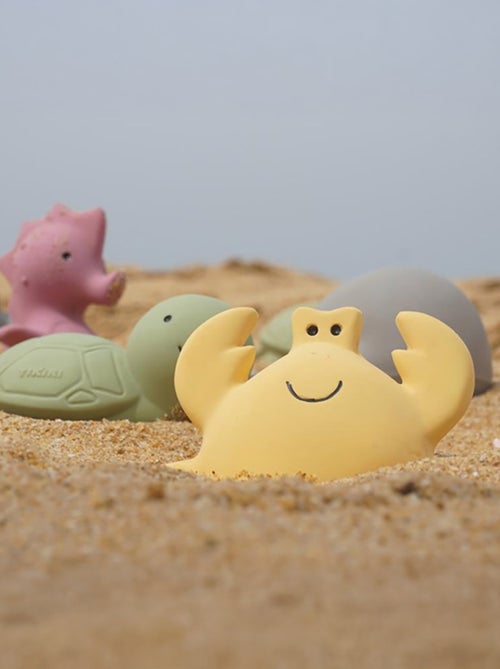 Jouet De Bain Tortue Ocean Buddies - Kiabi