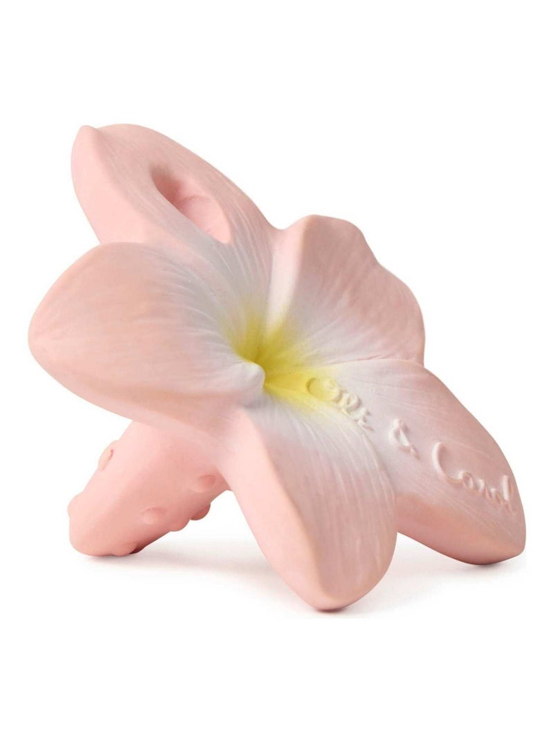 Jouet de dentition  Bella la fleur N/A - Kiabi