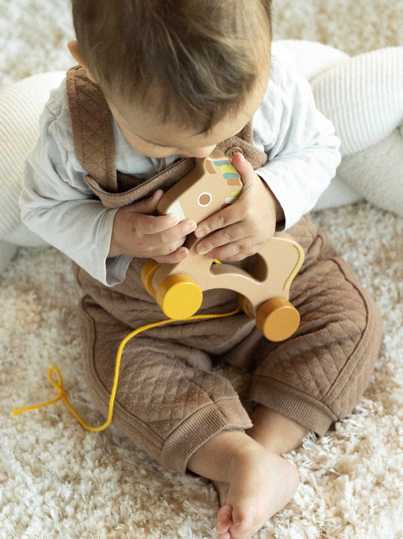 Jouet En Bois Bébé à Tirer Multicolore - Kiabi