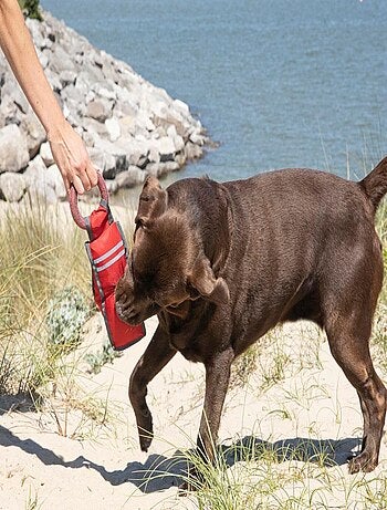 Jouet fitness pour chien