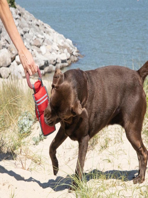 Jouet fitness pour chien - Kiabi
