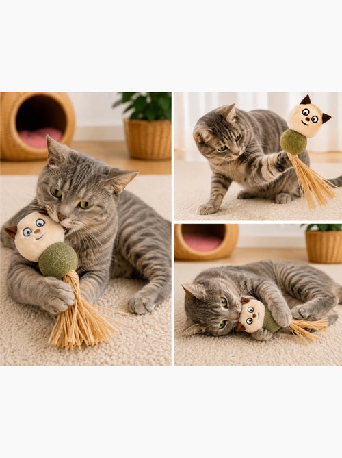 Jouet pour chat Katti avec balle de cataire - Kiabi