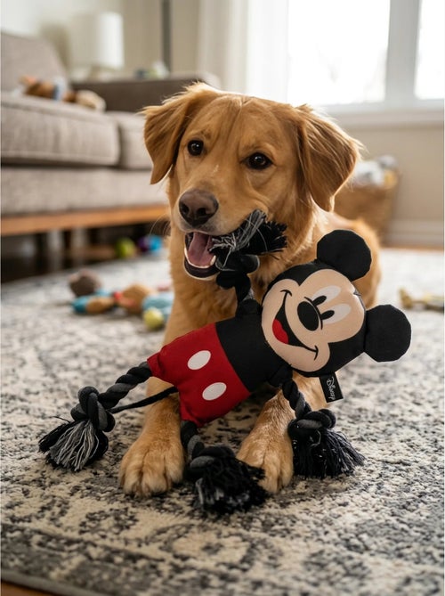 Jouet pour chien mickey mouse disney - Kiabi