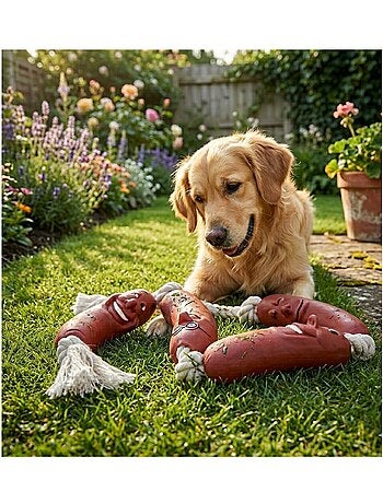 Jouet saucisse en latex sur corde avec 6 noeuds pour chien