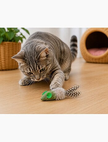 Jouet souris katti en cataire avec plumes pour chat