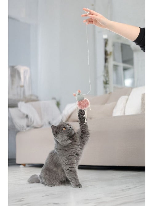 Jouet suspendu Gripi souris avec catnip Peluche pour chat - Kiabi