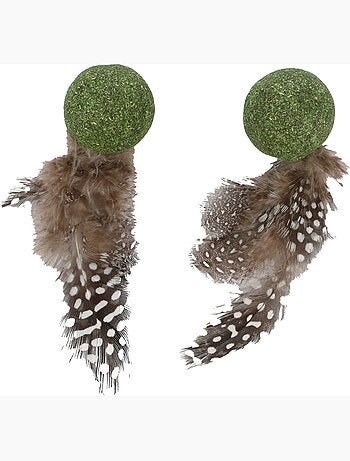 Jouets pour chat katti balle de cataire avec plumes