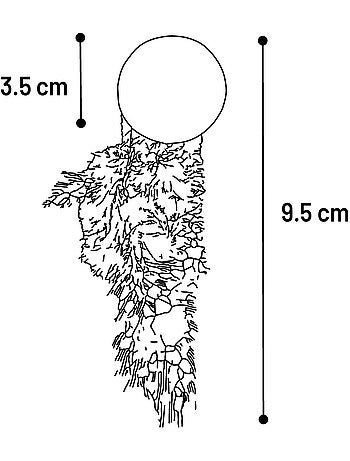 Jouets pour chat katti balle de cataire avec plumes