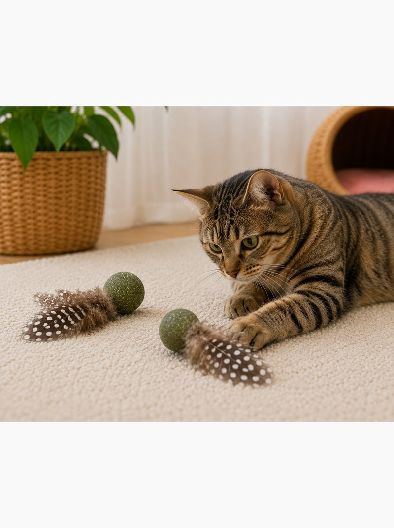 Jouets pour chat Katti balle de cataire avec plumes Vert - Kiabi