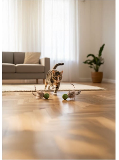 Jouets pour chat Katti balle de cataire avec plumes - Kiabi Jouets pour chat Katti balle de cataire avec plumes - Kiabi