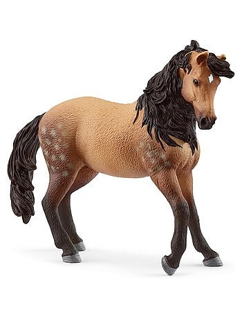 Jument Andalouse - Horse Club